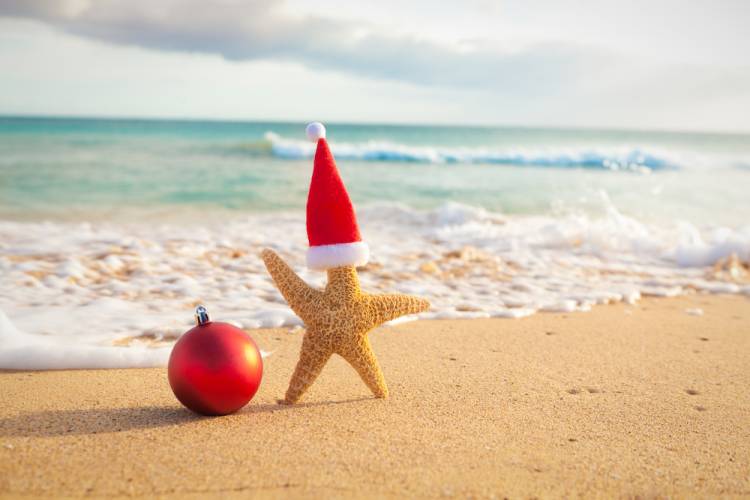 How to Celebrate Christmas on Maui in 2024 I Go Maui Vacation Rentals